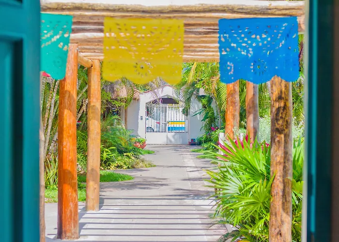 Colibri & Cozumel