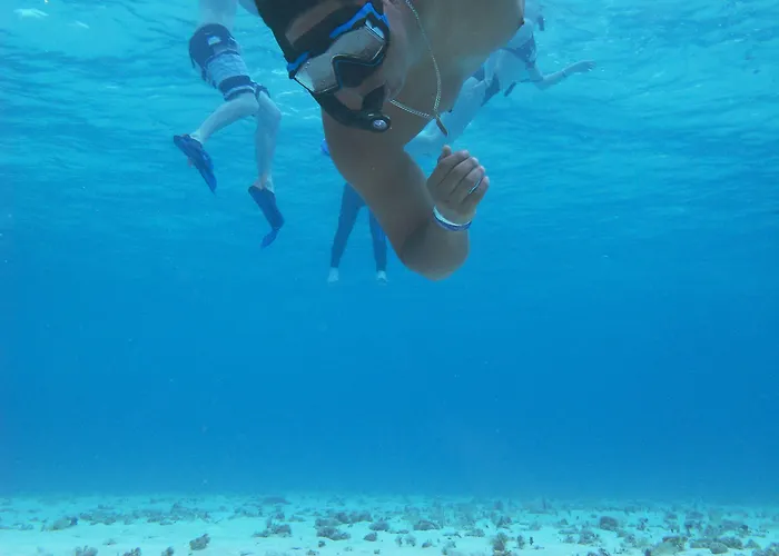 Colibri & Cozumel