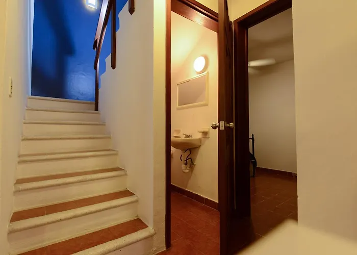 Hotel Colibrí Suites&bungalows Cozumel