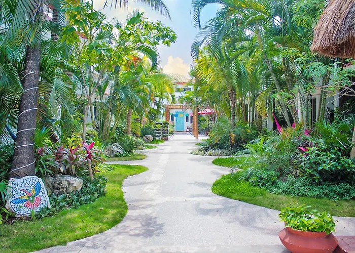 Colibrí Suites&bungalows